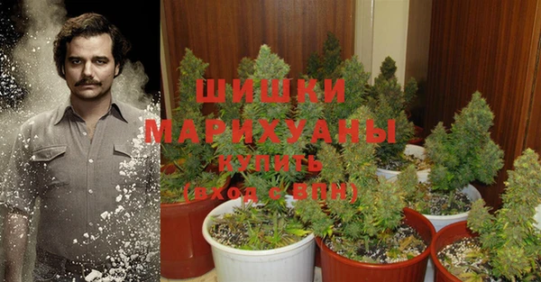 экстази Богородск