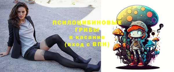 кристаллы Богданович