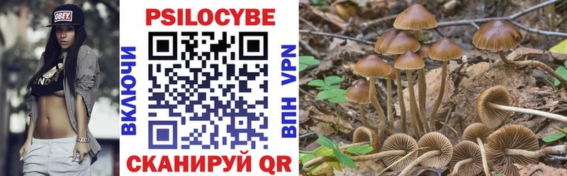 Псилоцибиновые грибы прущие грибы  цены наркотик  Свирск 
